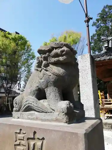 川越熊野神社の狛犬