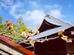 滑川神社 - 仕事と子どもの守り神の自然