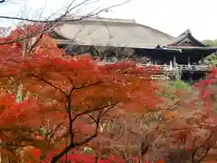 清水寺(京都府)