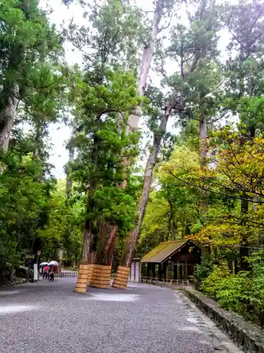 伊勢神宮内宮（皇大神宮）の自然