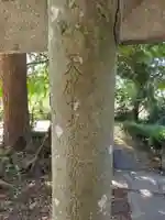 須軽谷八幡神社(神奈川県)