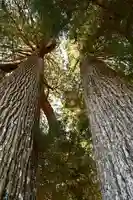 河内白王神社(高知県)