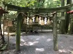 椿大神社の鳥居