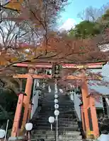 阿賀神社の鳥居