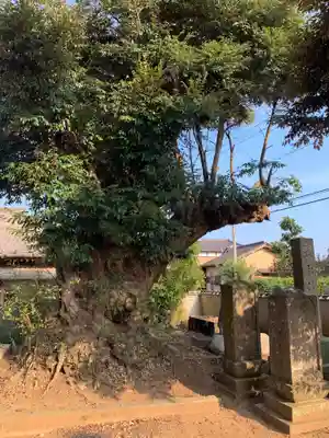 蔵福寺(千葉県)