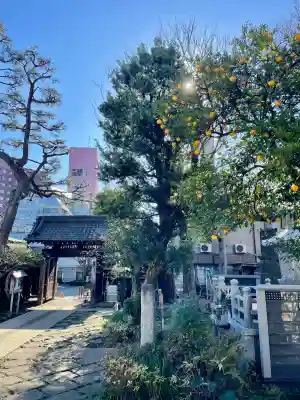 幸國寺(東京都)