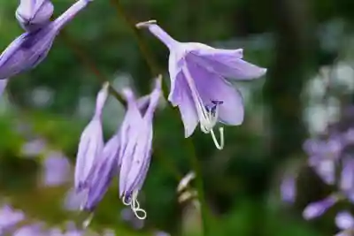 養徳院(京都府)