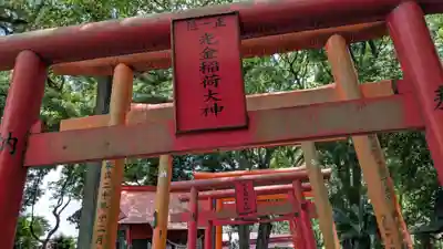 光金稲荷神社の鳥居