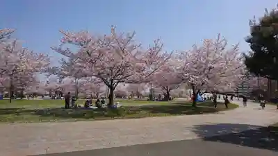 亀戸浅間神社(東京都)