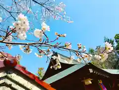 滑川神社 - 仕事と子どもの守り神の自然