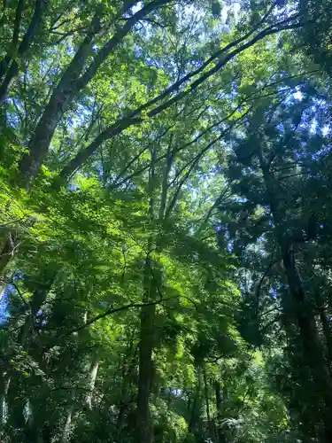 白山比咩神社(石川県)