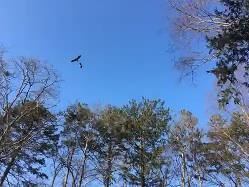 長沼神社(北海道)