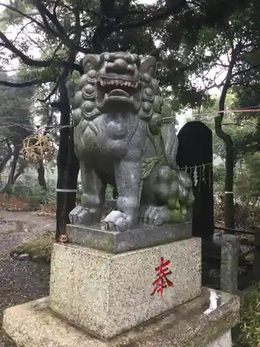 菊田神社の狛犬