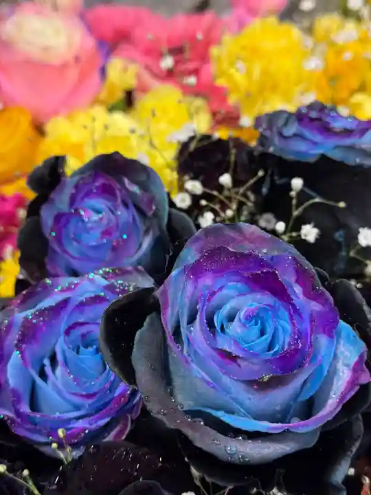 札幌諏訪神社の手水舎