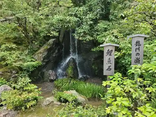 鹿苑寺（金閣寺）の自然