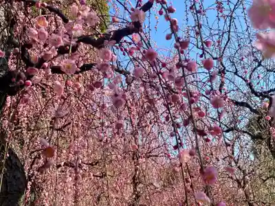 城南宮(京都府)