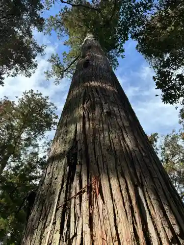 伊勢神宮内宮（皇大神宮）の{uncategorized: "未分類", other: "その他", undefined: "問題あり", building: "その他建物", grave: "お墓", sacred_gate: "鳥居", guardian: "狛犬", statue: "像", buddha: "仏像", history: "歴史", nature: "自然", garden: "庭園", animal: "動物", pagoda: "塔", temizu: "手水舎", mountain_gate: "山門・神門", sanctuary: "本殿・本堂", subordinate: "末社・摂社", art: "芸術", scenery: "景色", jizo: "地蔵", ema: "絵馬", goshuin: "御朱印", omikuji: "おみくじ", items: "授与品その他", amulet: "お守り", goshuincho: "御朱印帳", eats: "食事", festival: "お祭り", votive_dance: "神楽", shichigosan: "七五三参", wedding: "結婚式", experience: "体験その他", initially: "初詣", around: "周辺", anti_infection: "感染症対策"}