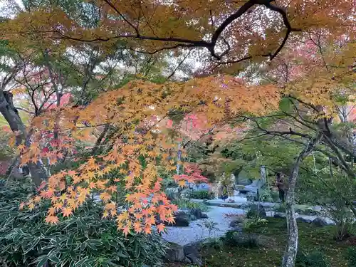 宝筐院(京都府)