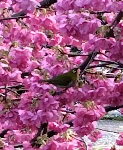かっぱの寺 栖足寺(静岡県)