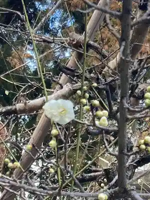 高宮神社(滋賀県)