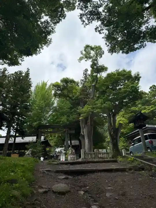 諏訪大社上社前宮(長野県)