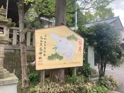毛谷黒龍神社(福井県)