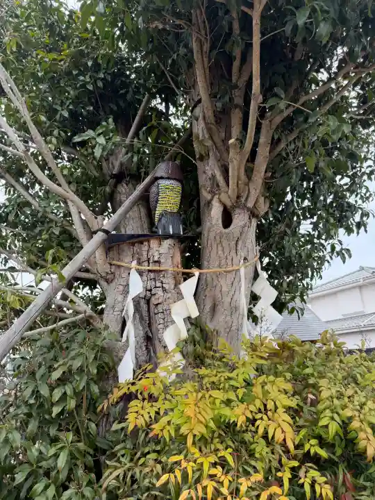 拝島神明神社の{uncategorized: "未分類", other: "その他", undefined: "問題あり", building: "その他建物", grave: "お墓", sacred_gate: "鳥居", guardian: "狛犬", statue: "像", buddha: "仏像", history: "歴史", nature: "自然", garden: "庭園", animal: "動物", pagoda: "塔", temizu: "手水舎", mountain_gate: "山門・神門", sanctuary: "本殿・本堂", subordinate: "末社・摂社", art: "芸術", scenery: "景色", jizo: "地蔵", ema: "絵馬", goshuin: "御朱印", omikuji: "おみくじ", items: "授与品その他", amulet: "お守り", goshuincho: "御朱印帳", eats: "食事", festival: "お祭り", votive_dance: "神楽", shichigosan: "七五三参", wedding: "結婚式", experience: "体験その他", initially: "初詣", around: "周辺", anti_infection: "感染症対策"}