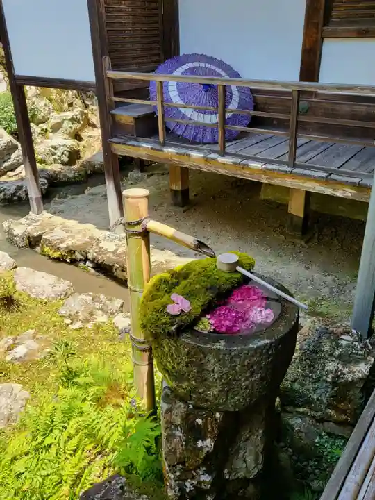 柳谷観音 楊谷寺(京都府)