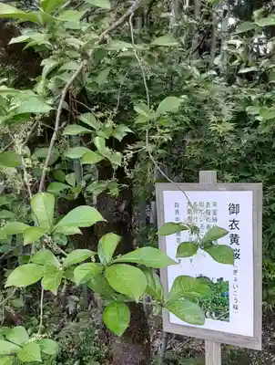 白笹稲荷神社(神奈川県)