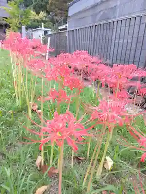 横浜　西方寺(神奈川県)