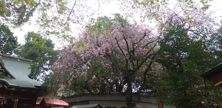 冠稲荷神社の自然