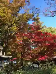 松本神社(長野県)