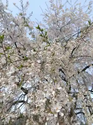 足羽神社(福井県)