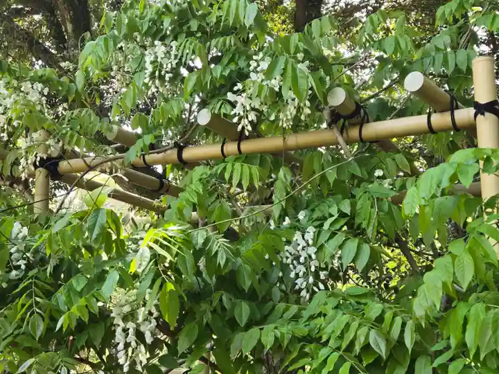 歌泉堂(春日大社神苑萬葉植物園内鎮座)(奈良県)