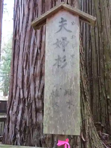 小野神社の自然