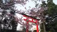 賀茂別雷神社(上賀茂神社)の鳥居