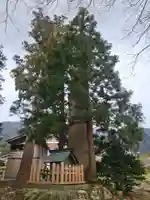 上諏訪神社(彌彦神社末社)(新潟県)