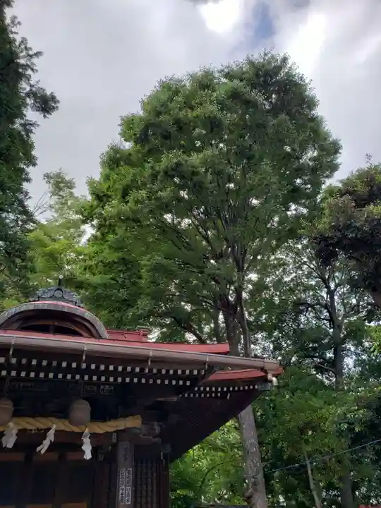 松が丘北野神社(東京都)