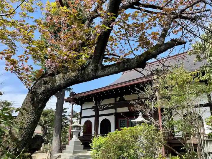 本行寺(東京都)