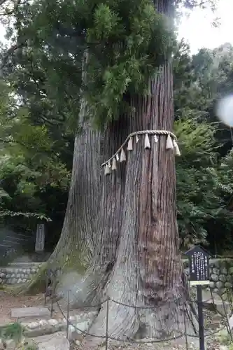 日枝神社(静岡県)