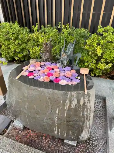 駒込妙義神社の{uncategorized: "未分類", other: "その他", undefined: "問題あり", building: "その他建物", grave: "お墓", sacred_gate: "鳥居", guardian: "狛犬", statue: "像", buddha: "仏像", history: "歴史", nature: "自然", garden: "庭園", animal: "動物", pagoda: "塔", temizu: "手水舎", mountain_gate: "山門・神門", sanctuary: "本殿・本堂", subordinate: "末社・摂社", art: "芸術", scenery: "景色", jizo: "地蔵", ema: "絵馬", goshuin: "御朱印", omikuji: "おみくじ", items: "授与品その他", amulet: "お守り", goshuincho: "御朱印帳", eats: "食事", festival: "お祭り", votive_dance: "神楽", shichigosan: "七五三参", wedding: "結婚式", experience: "体験その他", initially: "初詣", around: "周辺", anti_infection: "感染症対策"}