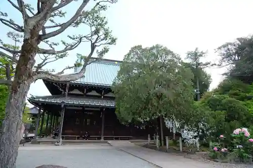 豪徳寺のその他建物
