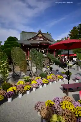 笠間稲荷神社(茨城県)