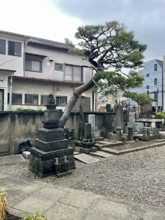 瑞松院の{uncategorized: "未分類", other: "その他", undefined: "問題あり", building: "その他建物", grave: "お墓", sacred_gate: "鳥居", guardian: "狛犬", statue: "像", buddha: "仏像", history: "歴史", nature: "自然", garden: "庭園", animal: "動物", pagoda: "塔", temizu: "手水舎", mountain_gate: "山門・神門", sanctuary: "本殿・本堂", subordinate: "末社・摂社", art: "芸術", scenery: "景色", jizo: "地蔵", ema: "絵馬", goshuin: "御朱印", omikuji: "おみくじ", items: "授与品その他", amulet: "お守り", goshuincho: "御朱印帳", eats: "食事", festival: "お祭り", votive_dance: "神楽", shichigosan: "七五三参", wedding: "結婚式", experience: "体験その他", initially: "初詣", around: "周辺", anti_infection: "感染症対策"}