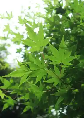 星田妙見宮(大阪府)