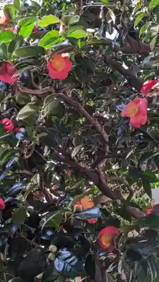 妙蓮寺(京都府)