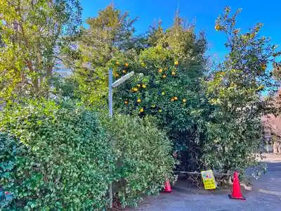 菅原神社（子安天満宮）(東京都)