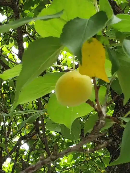 證誠寺(東京都)