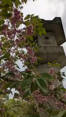 道明寺天満宮(大阪府)