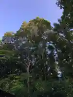 上野幌神社(北海道)